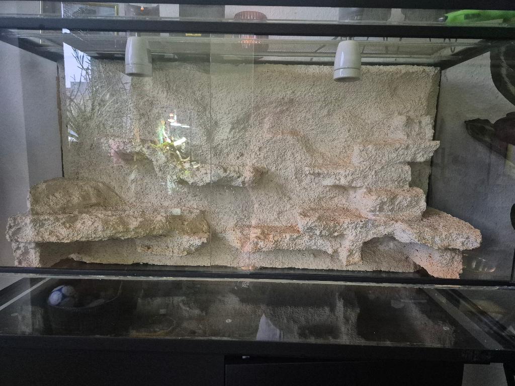 Terrarium met achterwand, Ophalen, Gebruikt, Terrarium of Paludarium