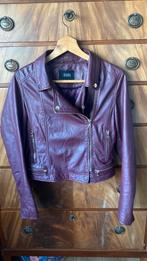 Ibana leren jack €30,-, Ophalen of Verzenden, Nieuw, Maat 38/40 (M), Overige kleuren