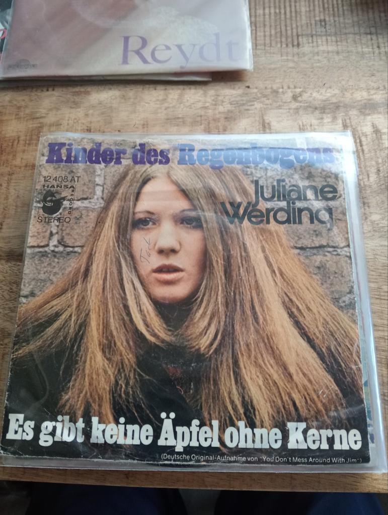 Julianne werding - kinder des regenbogens, Ophalen of Verzenden, Zo goed als nieuw, Nederlandstalig