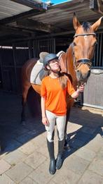 Verzorgster aangeboden/ verzorger paard of pony gezocht, Dieren en Toebehoren, Ophalen, Nieuw