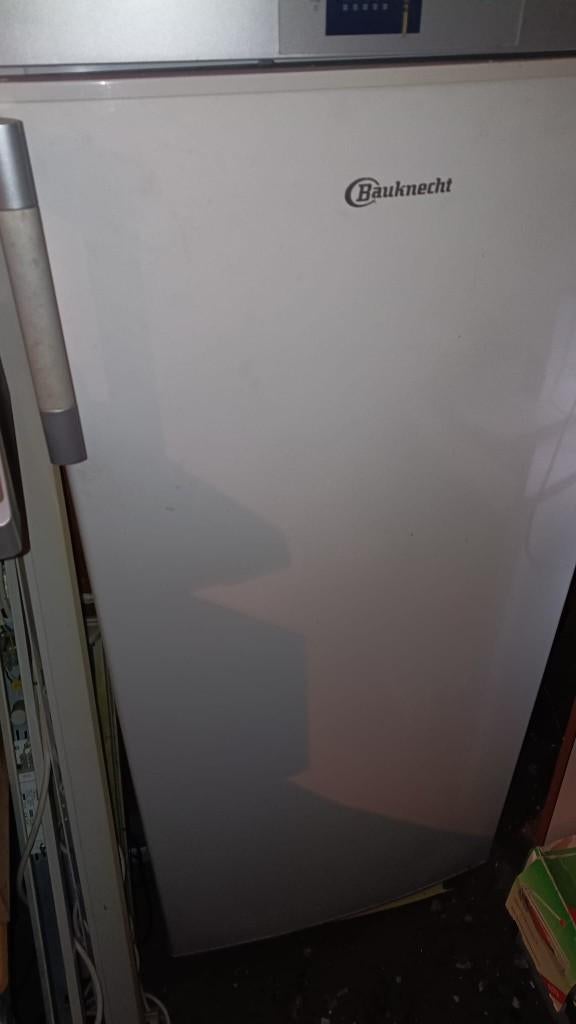 vrieskast staand Bauknecht, Gebruikt, Minder dan 60 cm, 160 cm of meer, Vrijstaand