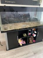 Aquarium / amfibieën/ terrarium, Ophalen of Verzenden, Zo goed als nieuw, Leeg aquarium