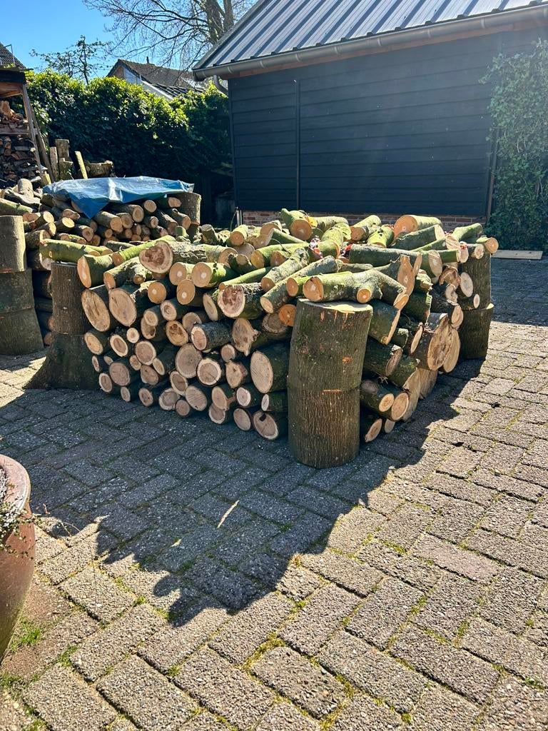 Haardhout Eiken/Beuken, Tuin en Terras, Haardhout, Minder dan 3 m³, Ophalen of Verzenden