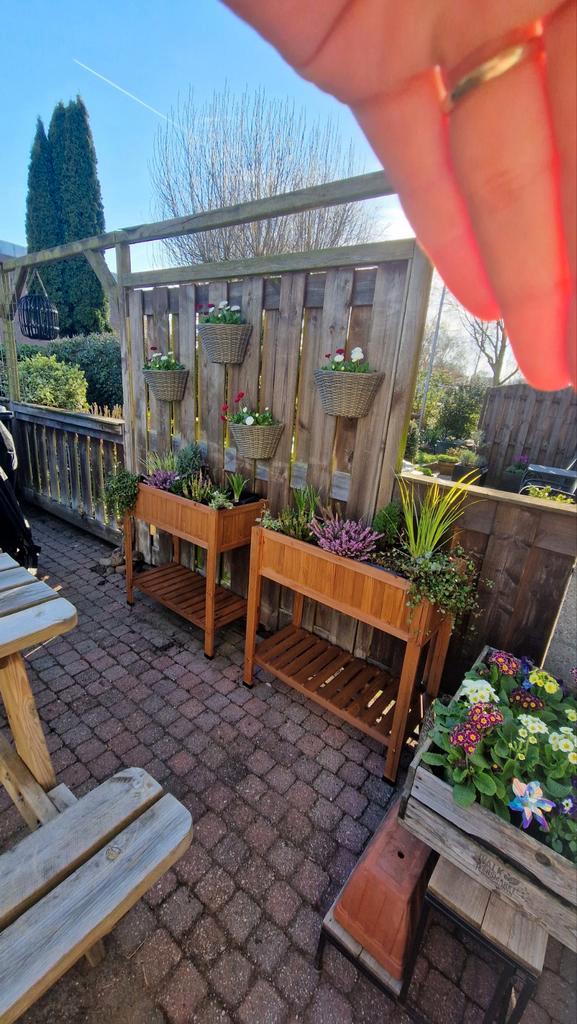 Oude schutting panelen of brandhout, Tuin en Terras, Schuttingen, Gebruikt, Hout, 1 tot 2 meter, Minder dan 3 meter, Ophalen