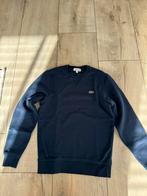Mooie lacoste trui. Maat xs, Ophalen of Verzenden, Zo goed als nieuw, Maat 46 (S) of kleiner
