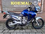 HONDA XL 650 V TRANSALP (bj 2006) XL650 31030KM XL650V, 2 cilinders, HONDA, Motorrijbewijs A, Bedrijf