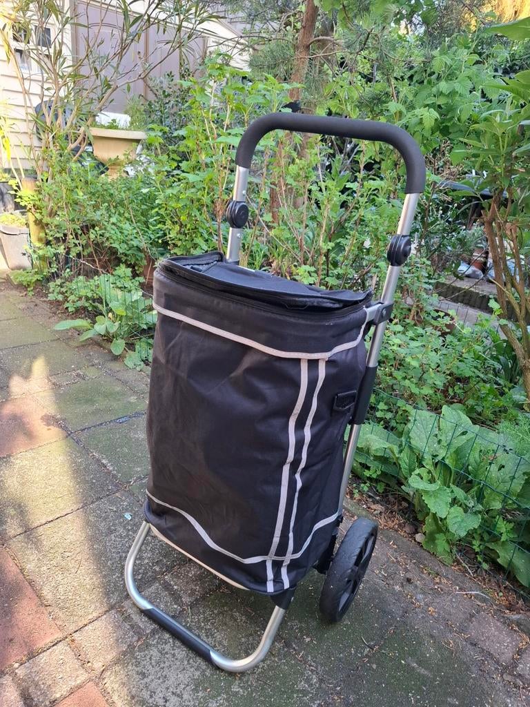 Boodschappenwagentje met vriestas, Wieltjes, 40 tot 60 cm, 30 cm of meer, Zwart