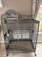 Papegaai kooi strong venus xl village, Ophalen, Zo goed als nieuw, Metaal, Vogelkooi