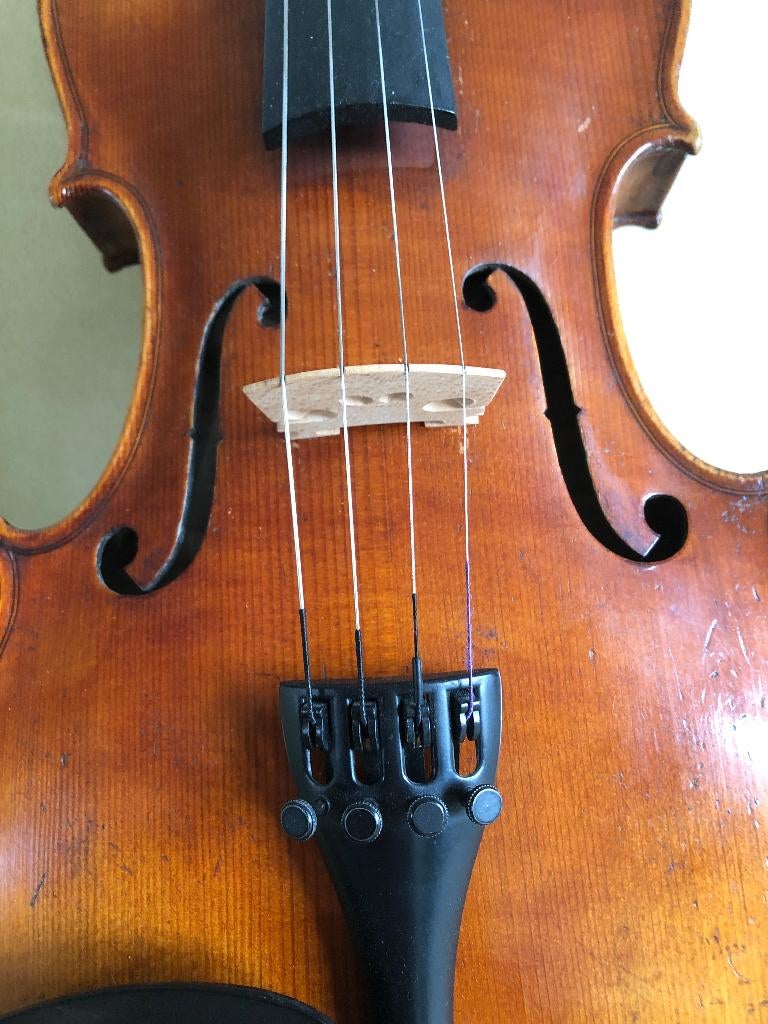 Viool, Ophalen, Gebruikt, Viool, 4/4-viool