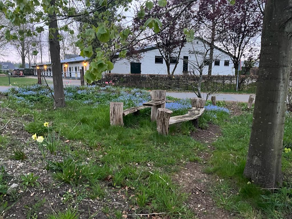 Paardencoach LOCATIE incl PAARDEN te huur, Dieren en Toebehoren, Stalling en Weidegang