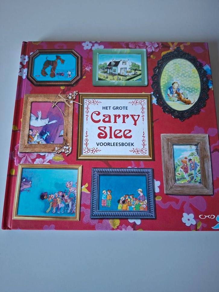 Het grote Carry Slee voorleesboek, Boeken, Kinderboeken | Jeugd | onder 10 jaar, Gelezen, Fictie algemeen, Ophalen of Verzenden