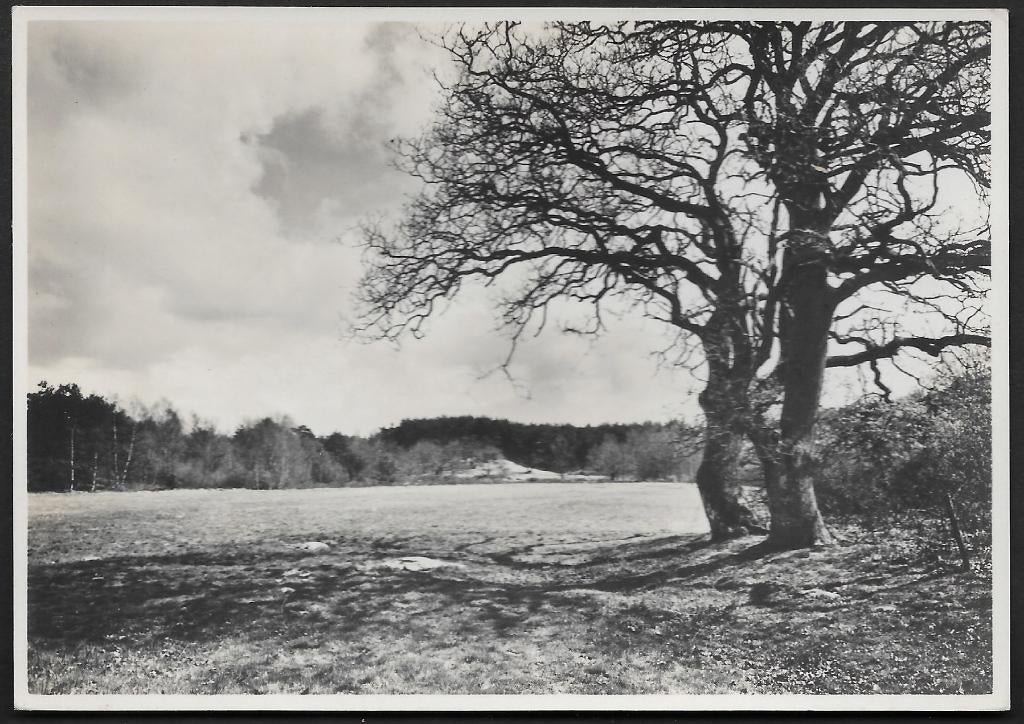 Briefkaart 287h landschapserie nr 8 Ommen., Postzegels en Munten, Ophalen of Verzenden, Briefkaart