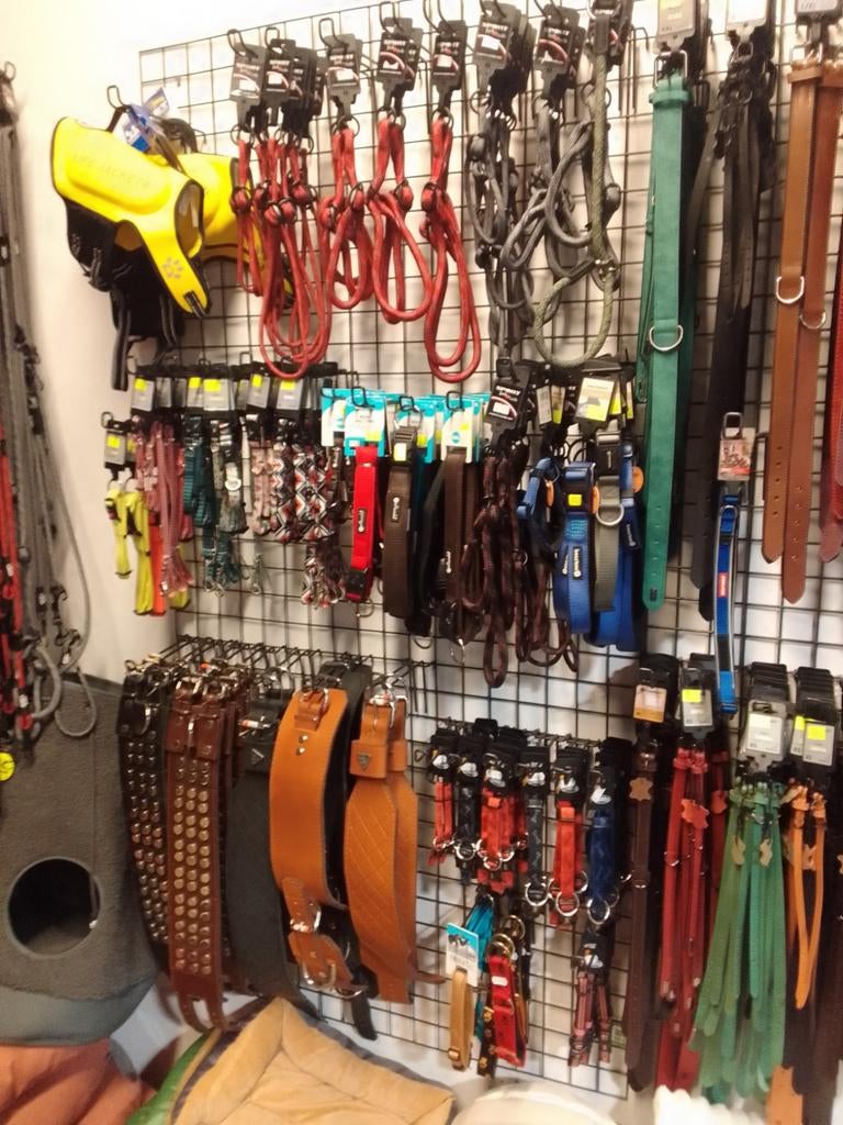 Mega Grote partij riemen halsbanden en tuigjes, Dieren en Toebehoren, Hondenriemen, Nieuw, Hondenriem, Ophalen