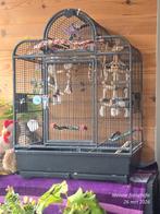 Stevige parkietenkooi met onderstel., Dieren en Toebehoren, Ophalen, Metaal, Vogelkooi