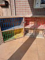 Broedbakken, Dieren en Toebehoren, Mannelijk, Postduif