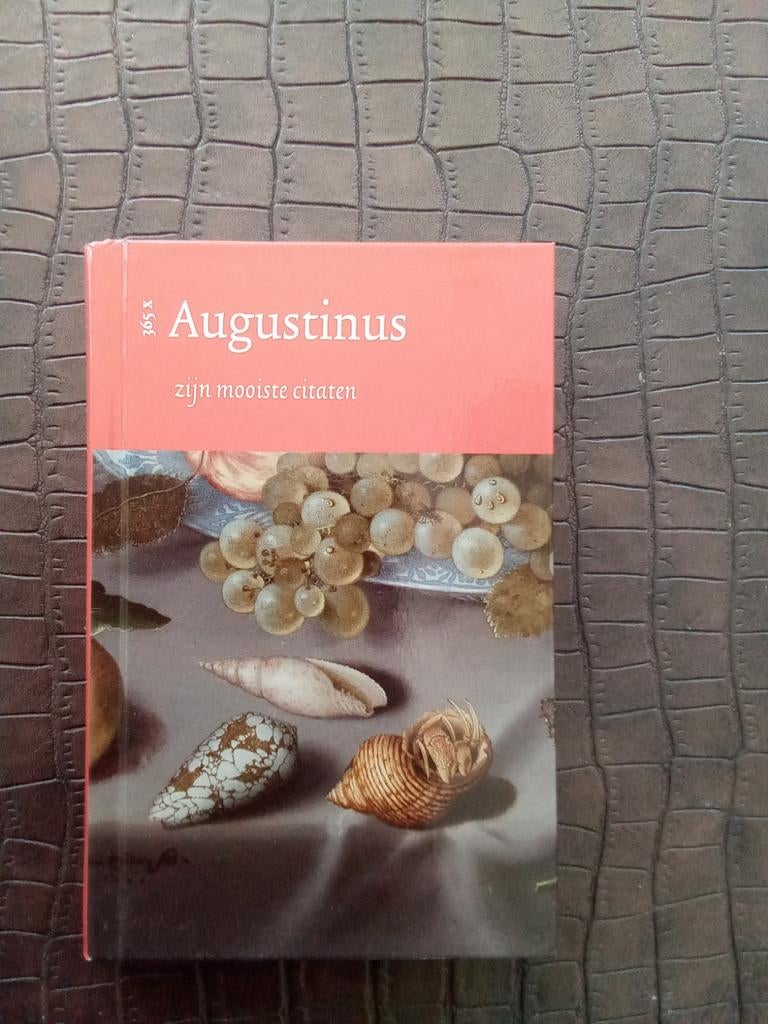 Augustinus: zijn mooiste citaten, Boeken, Ophalen of Verzenden, Zo goed als nieuw