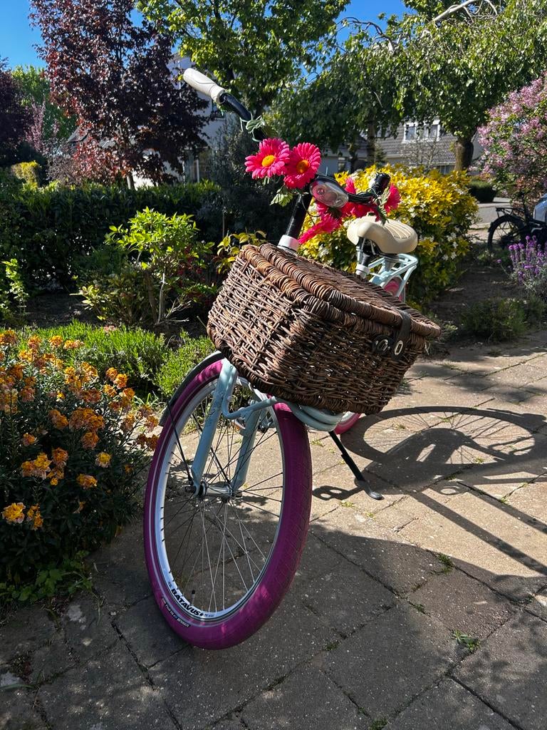 Batavus BUB Limited Edition - Demo Model, Terugtraprem, 47 tot 50 cm, Batavus, Ophalen of Verzenden