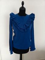Trui Ambika maat L, Blauw, Maat 42/44 (L), Ophalen of Verzenden, Zo goed als nieuw