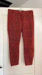 Coster  maat 36, Kleding | Dames, Ophalen, Zo goed als nieuw, Maat 36 (S), Lang