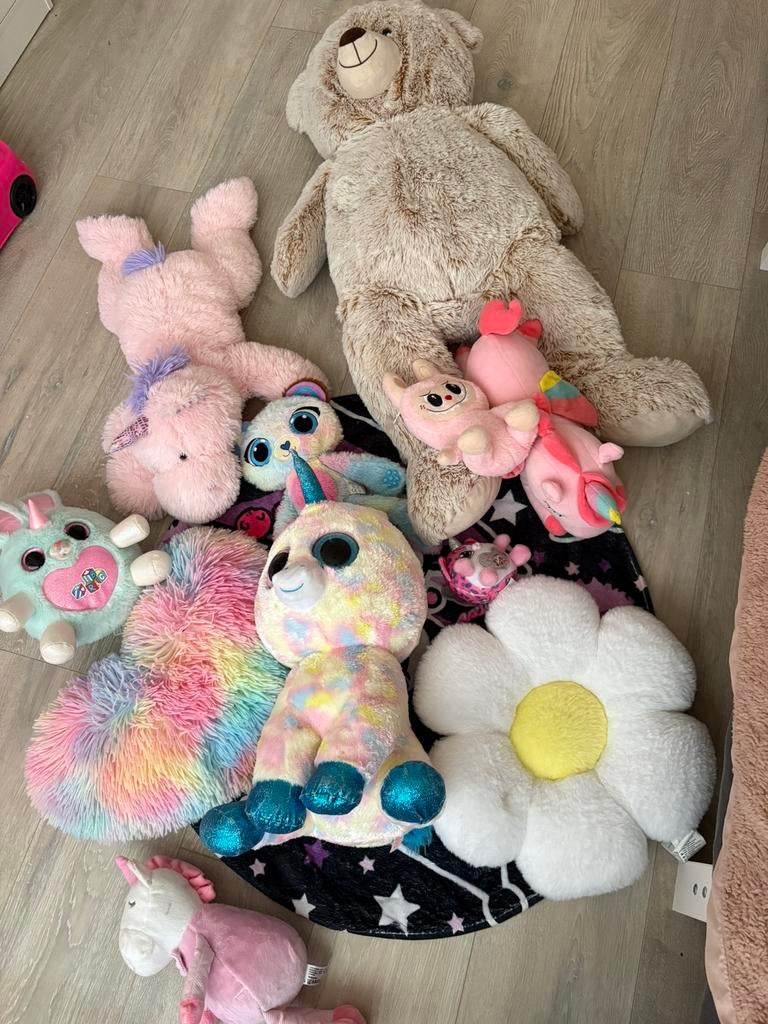 Knuffels, Kinderen en Baby's, Speelgoed | Knuffels en Pluche, Ophalen of Verzenden, Zo goed als nieuw, Overige typen