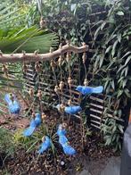 Windhanger houtsnijwerk vogel uit Bali Indonesie 3 kleuren, Verburgt Vintage, Nieuw, Ophalen of Verzenden, https://verburgtvintage.nl/#contact