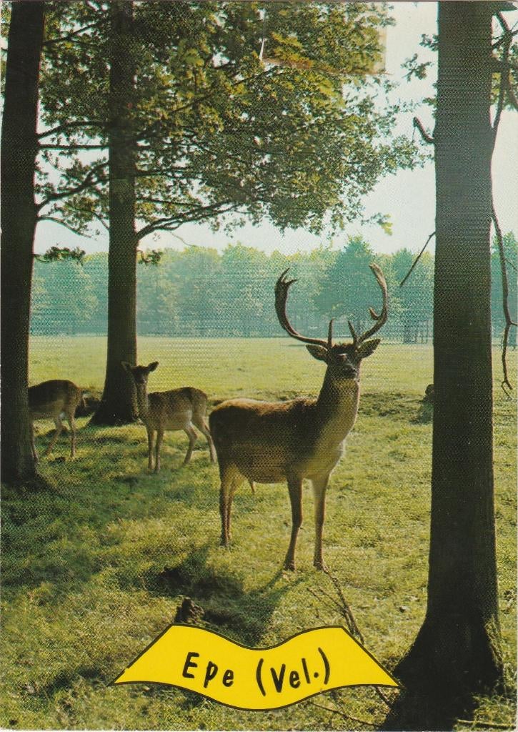 EPE Herten, Verzenden, 1960 tot 1980, Gelopen, Gelderland