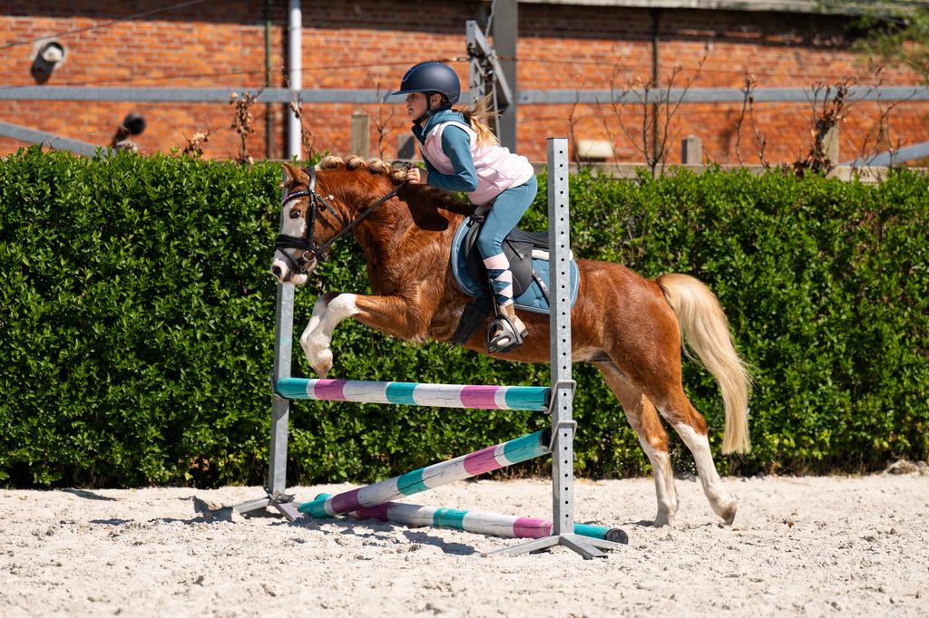 Super knappe springpony kinder pony, Dieren en Toebehoren, Pony's, Met stamboom, Ruin, Zadelmak, A pony (tot 1.17m)