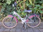 Loekie meisjesfiets 20 inch, Fietsen en Brommers, Ophalen, Gebruikt, 20 inch