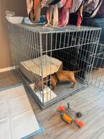 Bench, Dieren en Toebehoren, Ophalen, Gebruikt