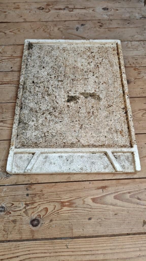 Varroalade Segeberger Bijenkast, Bijen