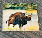 Bhutan 1970 buffel dieren ongebruikt, Ophalen of Verzenden