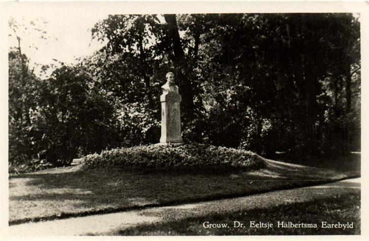 Grouw, Dr. Eeltsje Halbertsma Earebyld - ongelopen, Verzamelen, Ansichtkaarten | Nederland, Ongelopen, Drenthe, Voor 1920, Ophalen of Verzenden