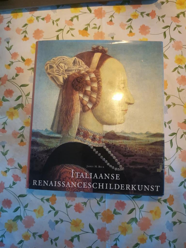 Boek Italiaanse schilderkunst, Ophalen of Verzenden