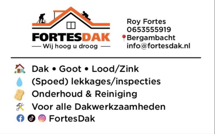 Dakdekker - van Lekkage tot complete Dakwerken, Diensten en Vakmensen, Dakdekkers en Rietdekkers, Bitumineus, Kunststof, Pannen