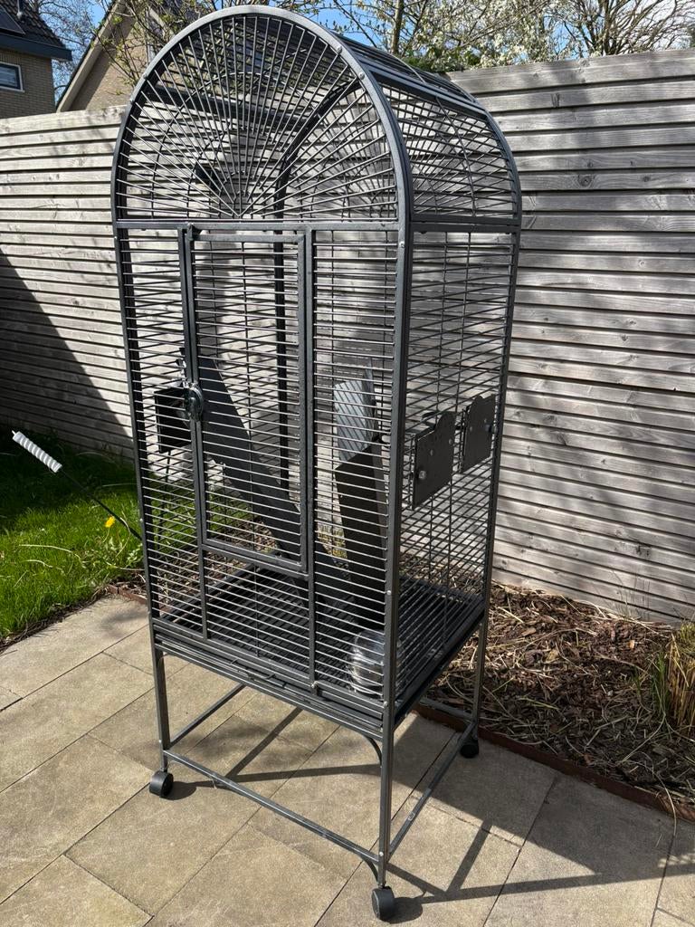 Papegaaienkooi, Ophalen, Gebruikt, Metaal, Vogelkooi