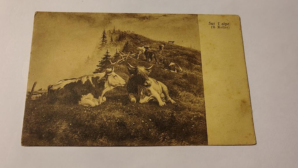 Zwitserland Sur l' alpe. (R. Koller), Ophalen of Verzenden, Overig Europa