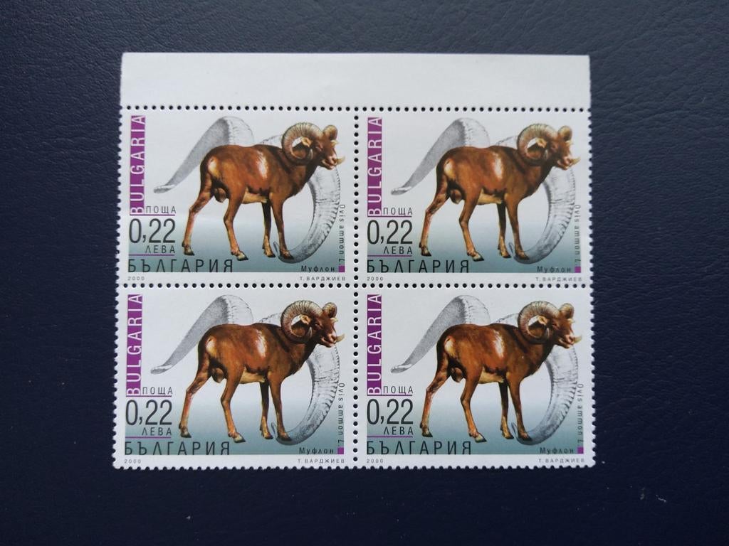 Bulgarije postzegels 2000, 0,22 leva, 4 stuks, Ophalen of Verzenden, Bulgarije, Postfris