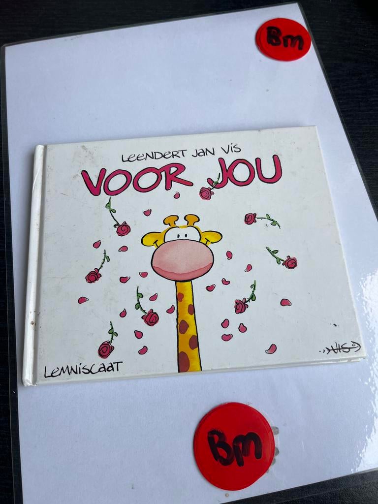 Voor Jou - Leendert Jan Vis (Kinderboek), Ophalen of Verzenden, Zo goed als nieuw, Fictie algemeen
