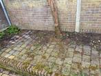 Gebruikte stenen 9m2, Ophalen, Gebruikt, Klinkers, 5 tot 10 m²