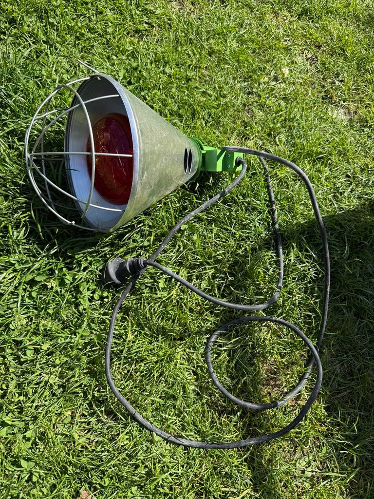 Warmtelamp puppy’s, Dieren en Toebehoren, Ophalen