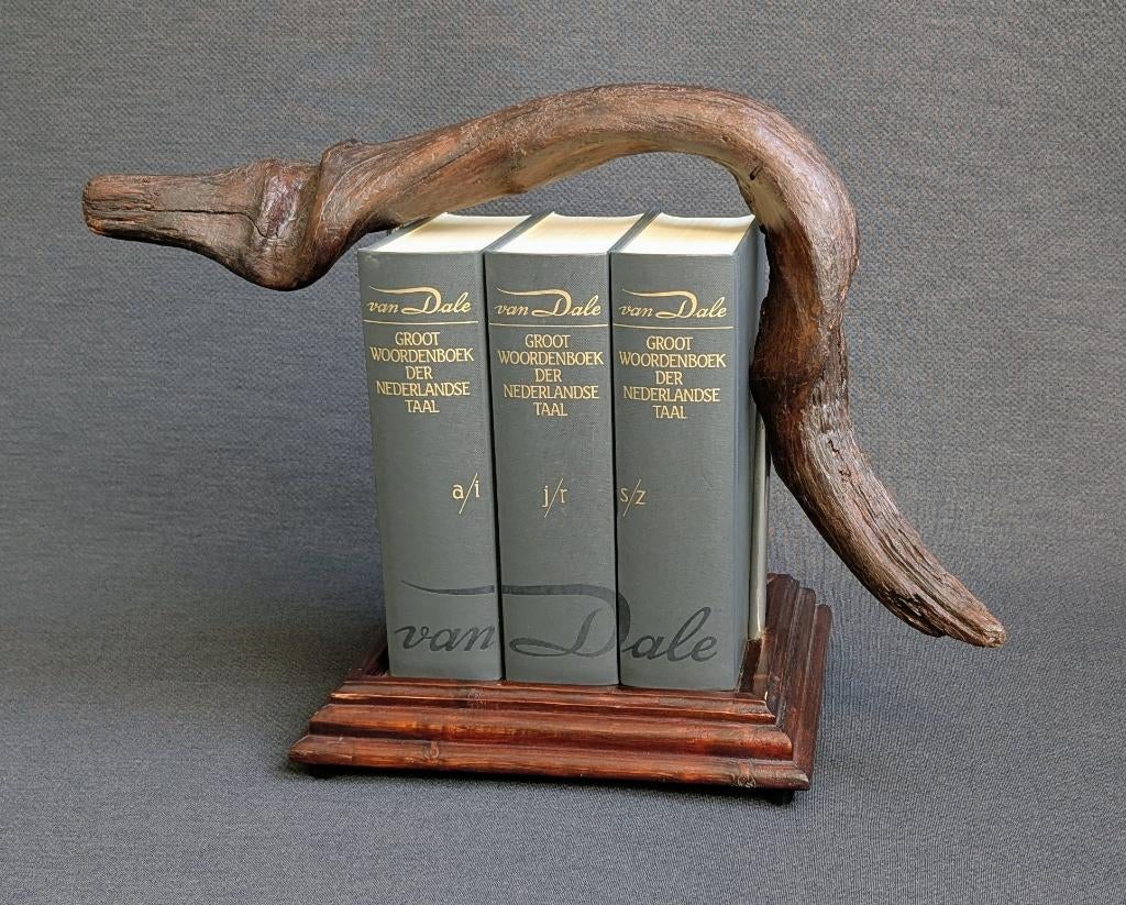 van Dale woordenboeken met creative standaard, Boeken, Woordenboeken, Gelezen, Van Dale, Nederlands, Ophalen of Verzenden