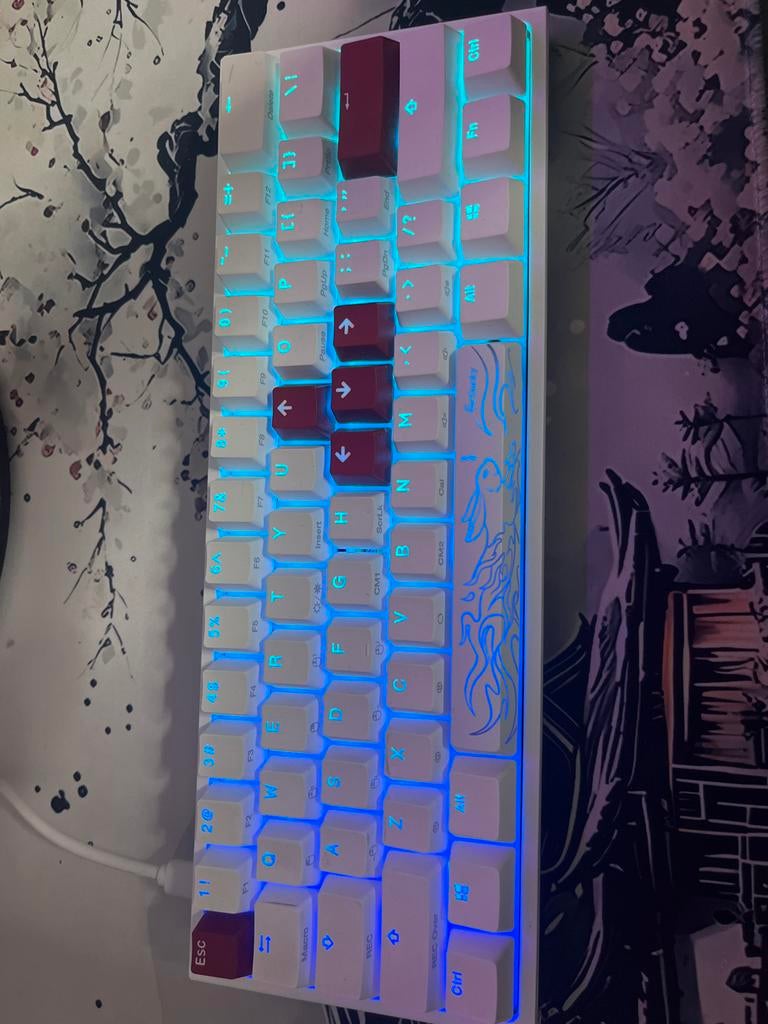 Glorious Model O- muis en 60% toetsenbord met RGB, Toetsenbord en muis-set, Ophalen of Verzenden, Zo goed als nieuw, Qwerty