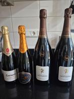 Champagne, Ophalen of Verzenden, Nieuw, Frankrijk, Champagne