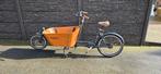 Nieuw Babboe City Mountainn bakfiets, Ophalen, Nieuw