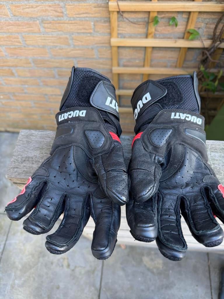 Ducati Motorhandschoenen Maat L, Motoren, Kleding | Motorkleding, Ophalen of Verzenden, Tweedehands, Heren, Handschoenen
