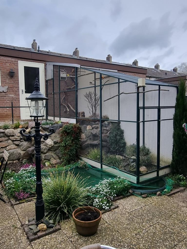 Voliere met nachthok en vogels, Ophalen of Verzenden, Volière