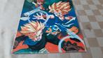 dragonball z kaart 30 bij 25 cm Trunks Goku Pan plastificeer, Ophalen of Verzenden, Nieuw