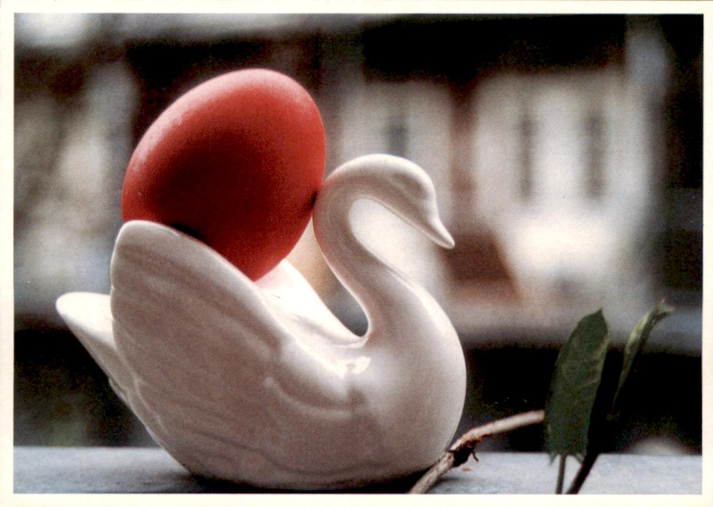 Kunstkaart, zwaan met rood ei, Annie MG Schnidt dag, Verzenden, 1980 tot heden, Ongelopen, Overige thema's