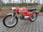 Aermacchi - Harley Davidson 250 CC - Ala Verde 1967