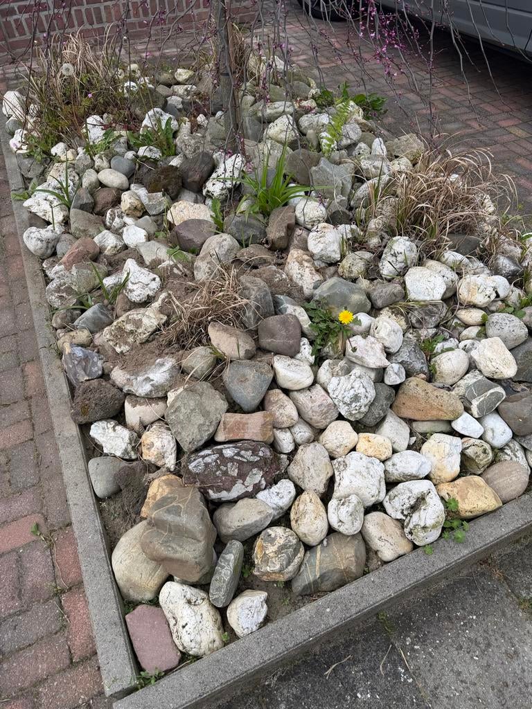 Gratis stenen / grote kiezels voor tuin of decoratie, Tuin en Terras, Ophalen, Overige materialen, Gebruikt, Kei